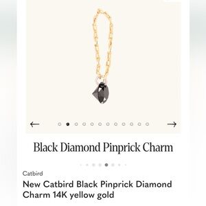 Catbird Black Diamond Pinprick Charm